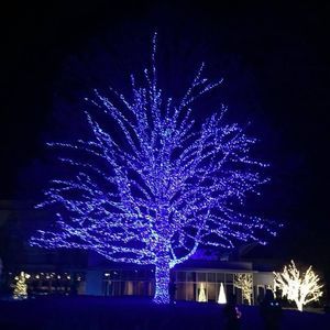 Meet your Posher, Cat